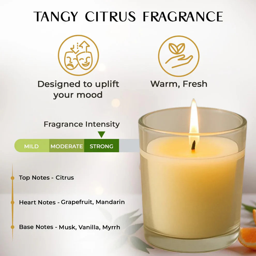 🕯️ In’lief Blueberry Scented Soy-Blend Votive Candle – 50 gm